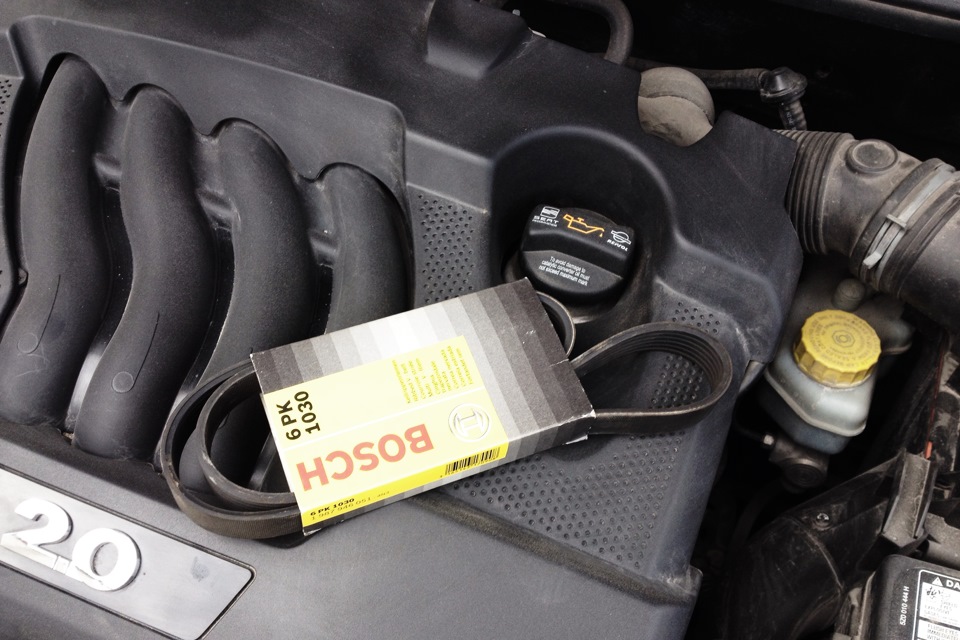 Ремень привода генератора. — SEAT Ibiza (6L), 2 л, 2008 года ...