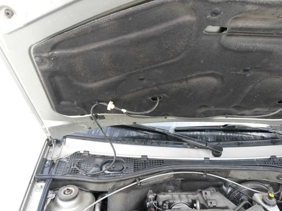 Веерные форсунки и обратный клапан — Lada Ларгус, 1,6 л., 2014 года ...