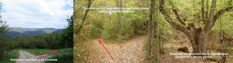 Фото в бортжурнале Volkswagen Polo Sedan