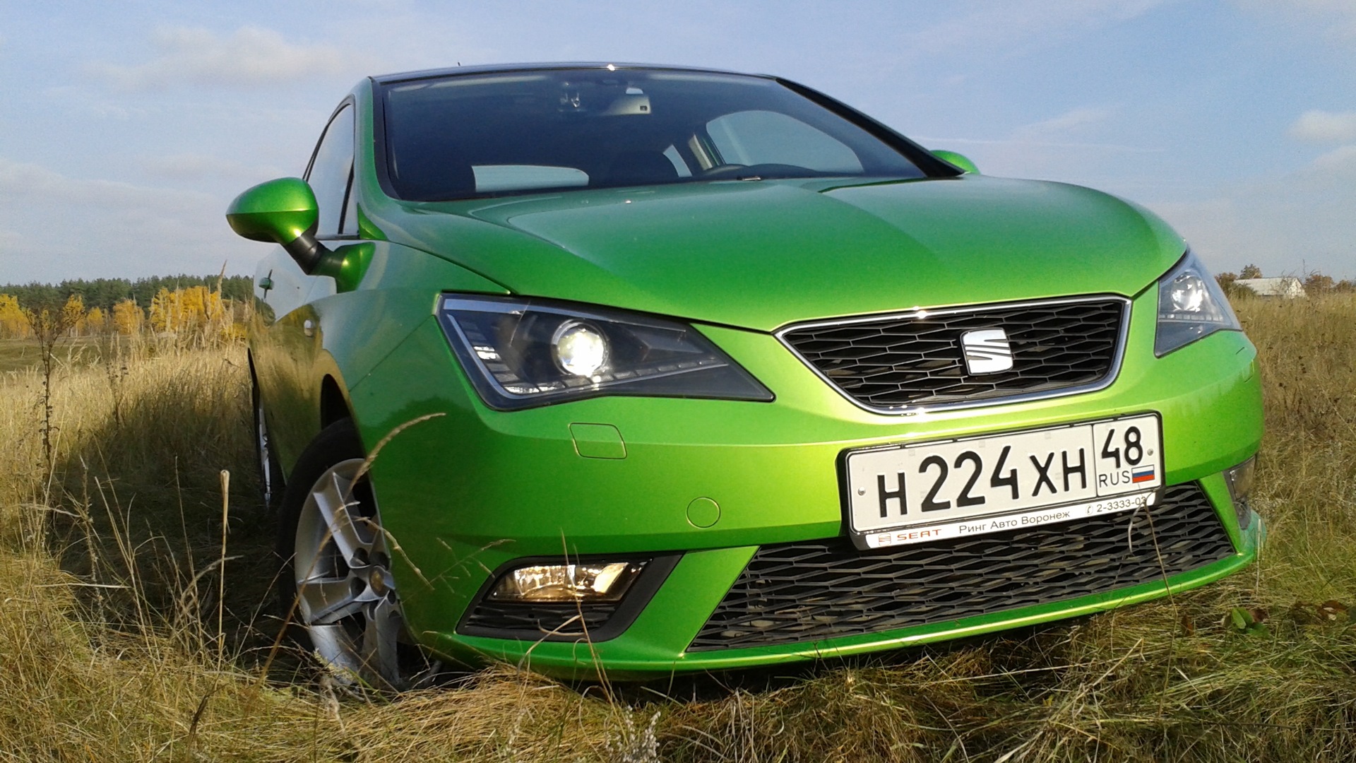 SEAT Ibiza (6J) 1.6 бензиновый 2012 | LIME 1600. на DRIVE2