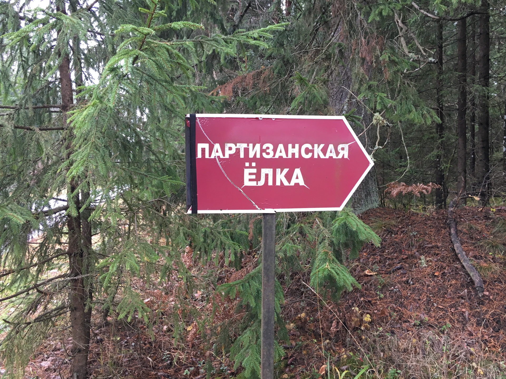 Партизанские тропы