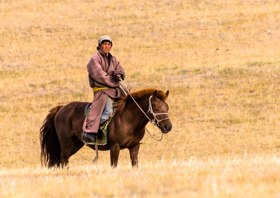 Монголия образ жизни. В монголии монгол в чехии чехол. Если в монголии монгол то в чехии. Казахи и монголы. Если в монголии монгол то в чехии.