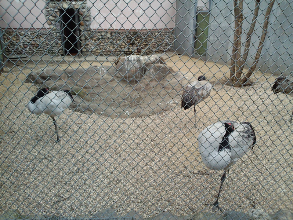 Отпуск! (расход топлива) — Lada Калина универсал, 1,6 л, 2010 года ...