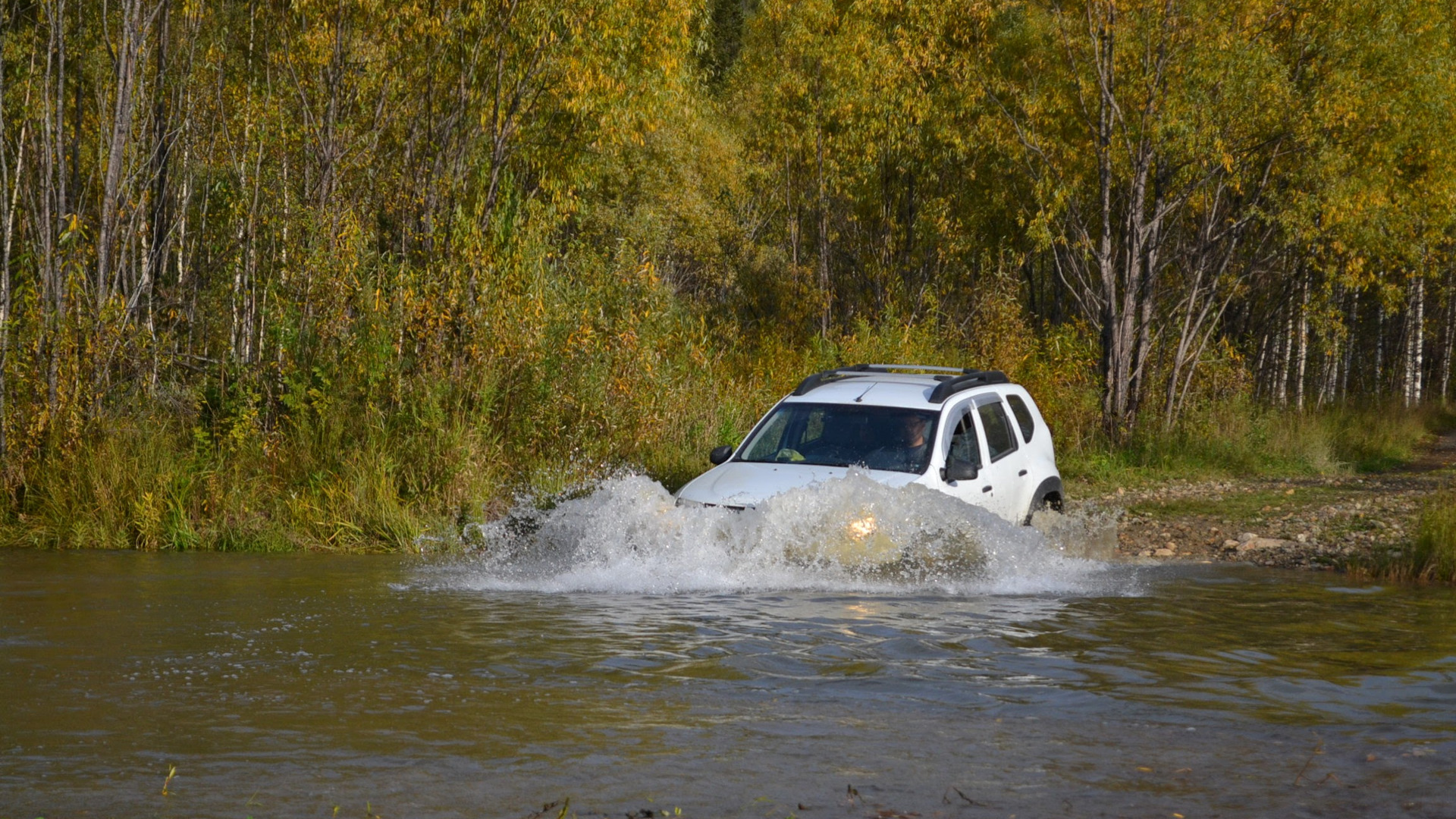 Renault Duster (1G) 2.0 бензиновый 2015 | Expression 2.0 4WD АТ на DRIVE2