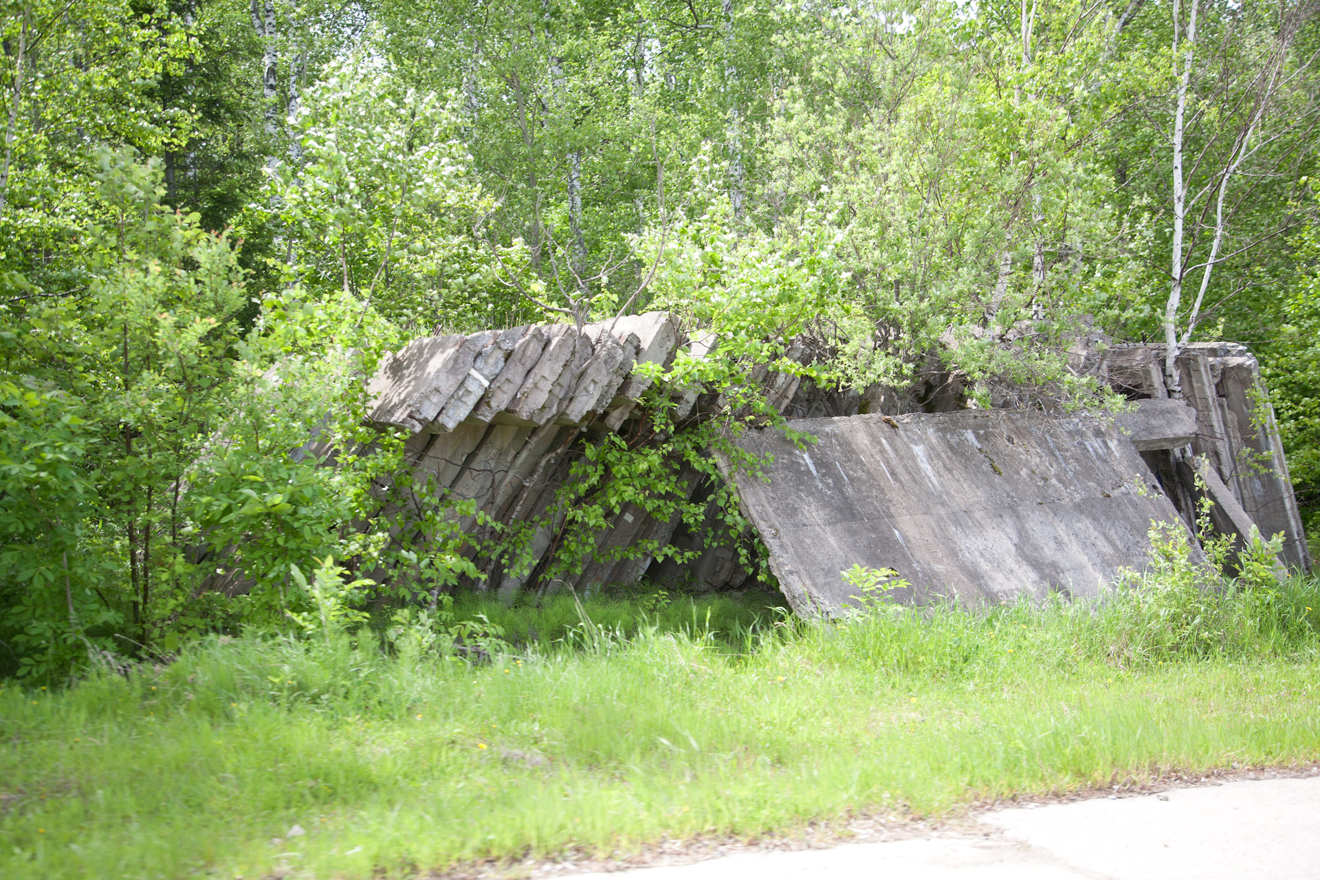 Бонивур город фото