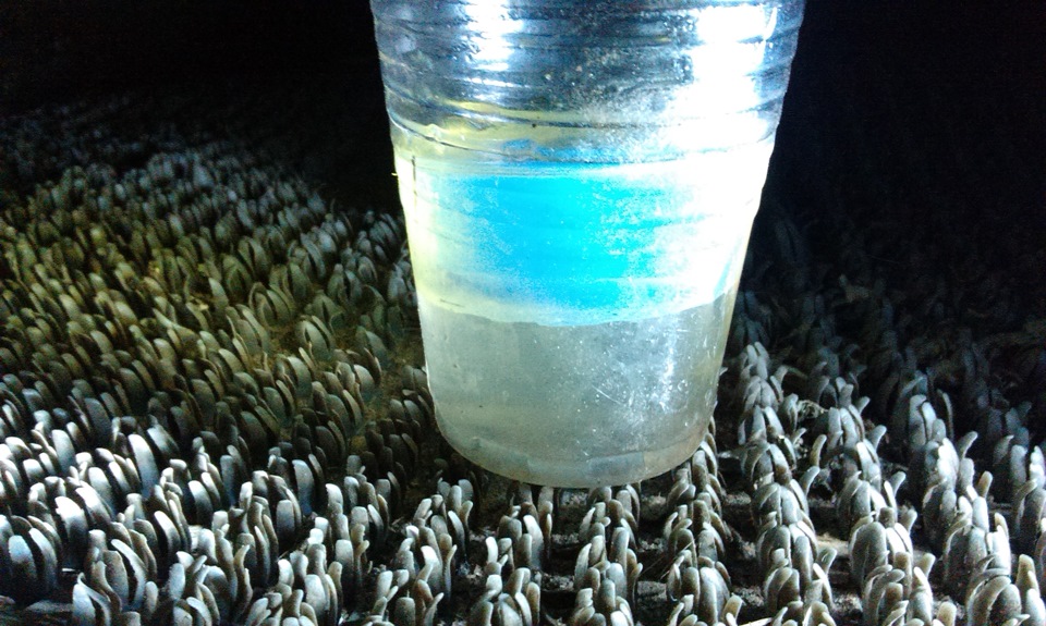 Вода в топливном фильтре — FIAT Ducato II, 2,3 л, 2004 года | своими ...