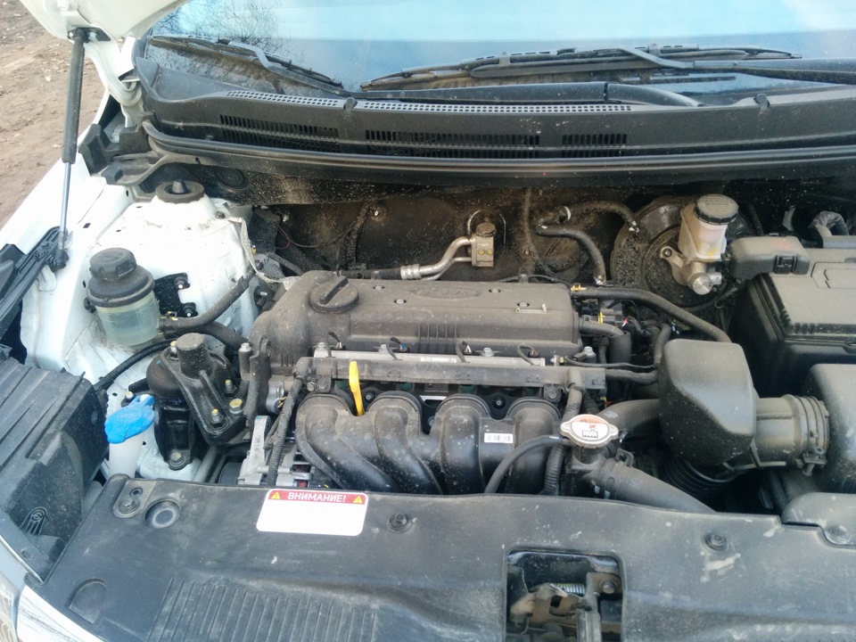 что же под капотом? — KIA Rio 5-door (3G), 1,4 л, 2014 года | просто ...