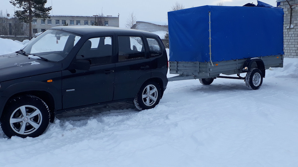 Новоржев магазин цветов. Нива печоры. Нива печоры. Нива печоры. Автобус печоры.