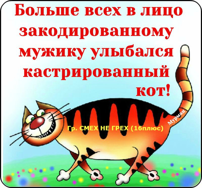 На год закодировался. Больше всех закодированному мужику улыбался кастрированный кот. Улыбался кастрированный кот. Закодированный прикол. Анекдоты про кастрацию котов.