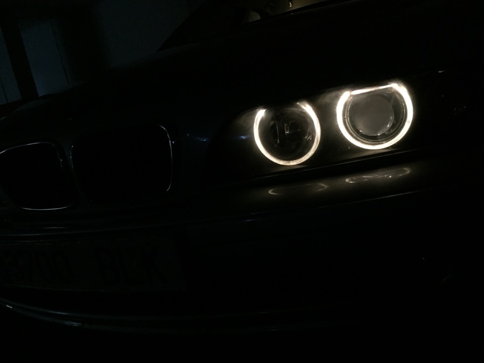 Ангельские глазки — BMW 5 series (E39), 2 л, 2001 года | стайлинг | DRIVE2