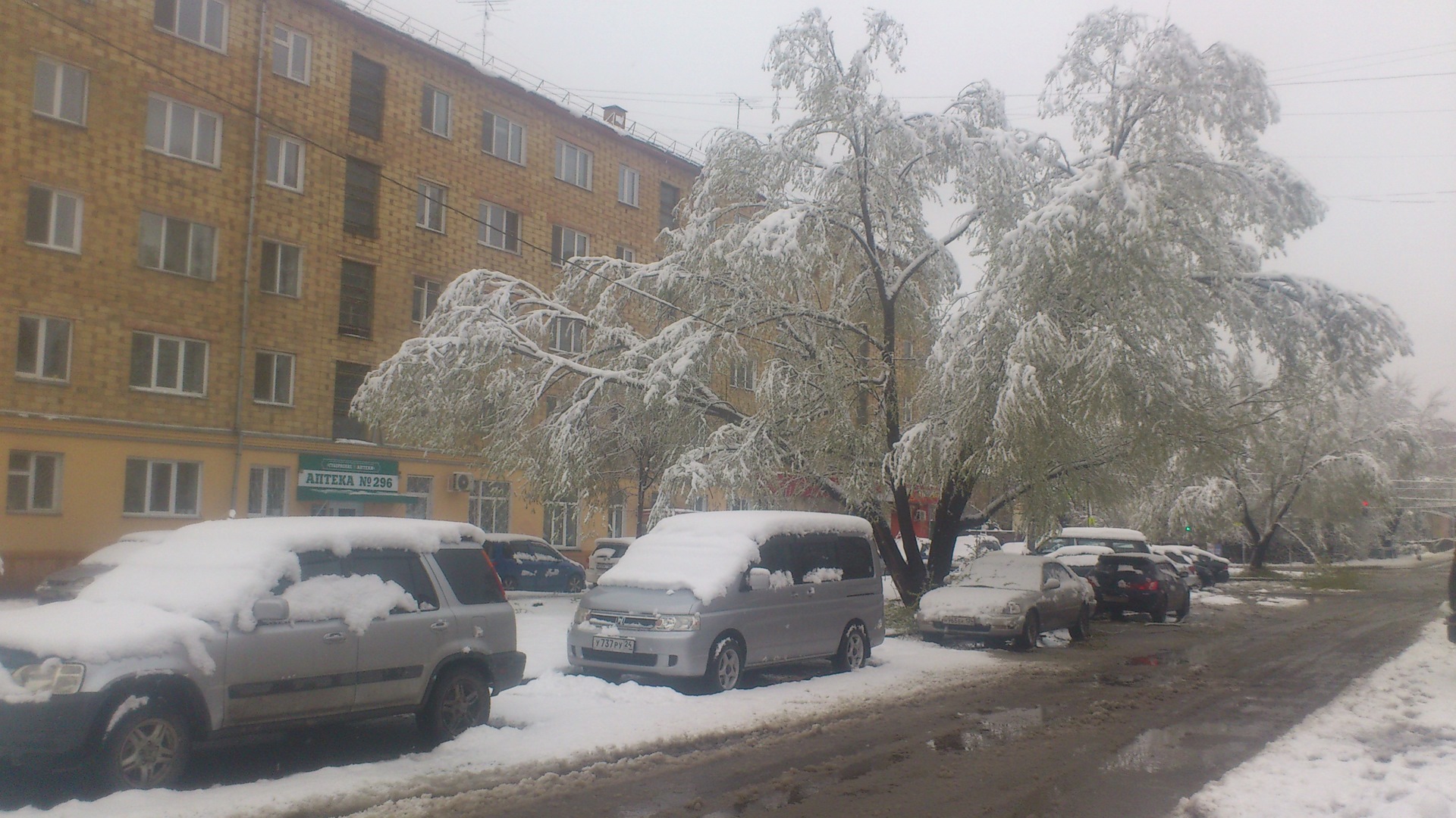 Какая завтра снег. Снег в Снежинске идет. Снег в мае 1981 г Челябинск. Снег на 9 мая. 9 Мая снег фото Рыбинск.