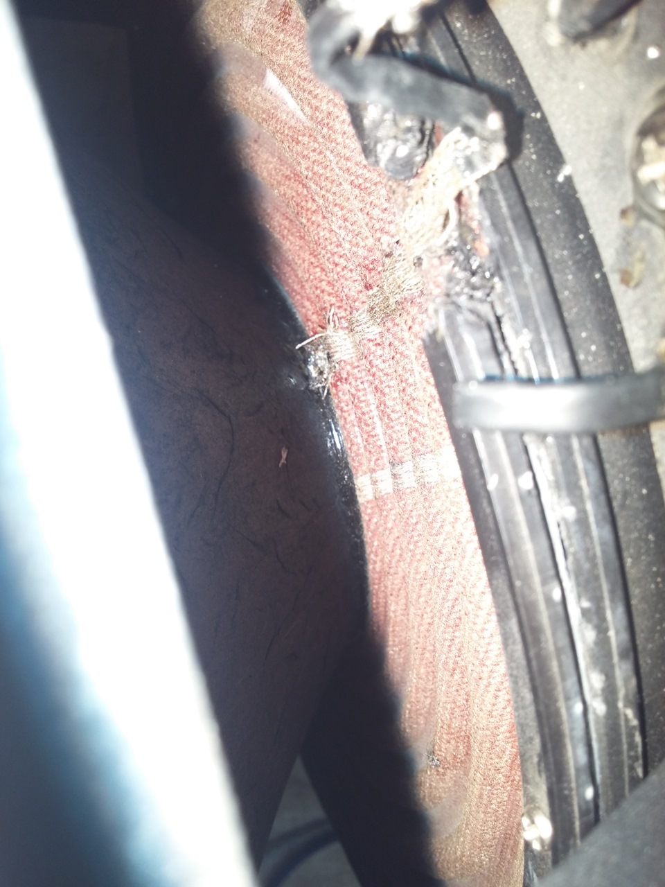 МИНУС нервные клетки. ПЛЮС к опыту — Ford Focus II Hatchback, 2 л, 2008 ...