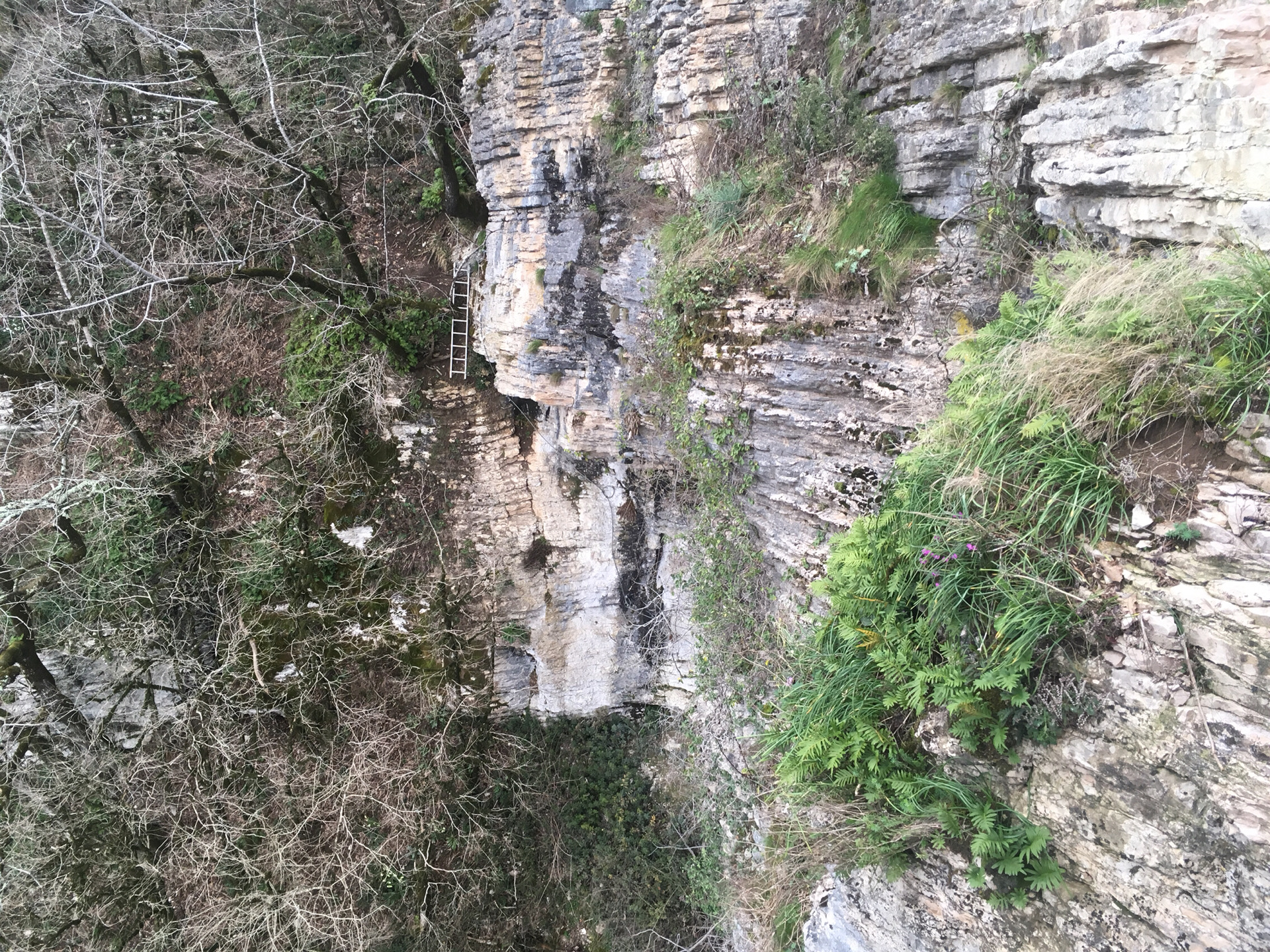 Ахштырском каньоне с белыми скалами