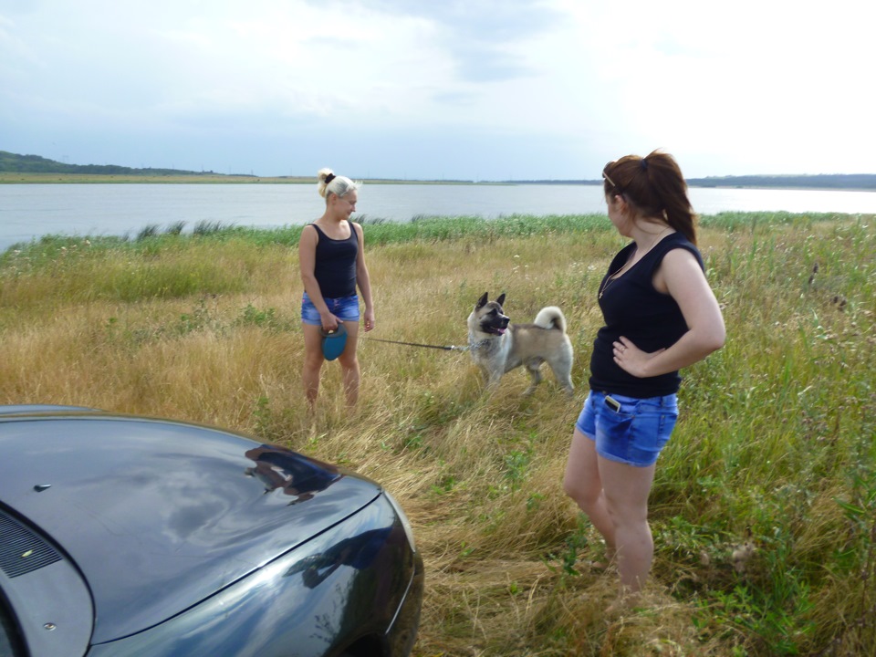 Ставрополь — Ford Mondeo II, 2 л, 1997 года | фотография | DRIVE2