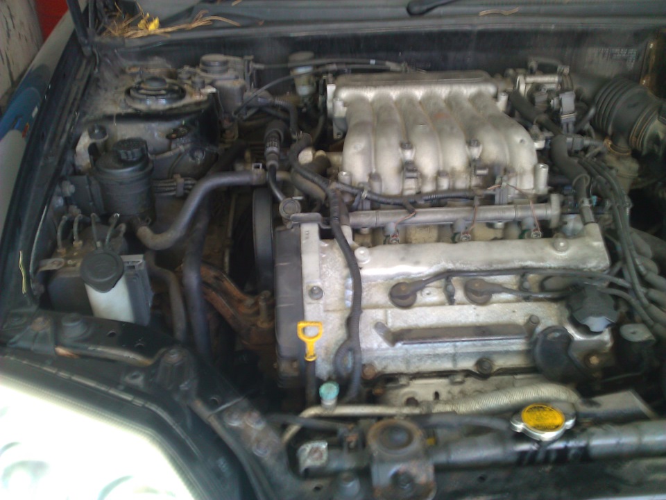 ГРМ поменян, найден толковый механик в Черногории. — Hyundai Coupe (GK ...