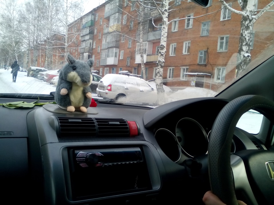 Хомяк в хомяке) — Honda Fit (1G), 1,3 л, 2007 года | фотография | DRIVE2