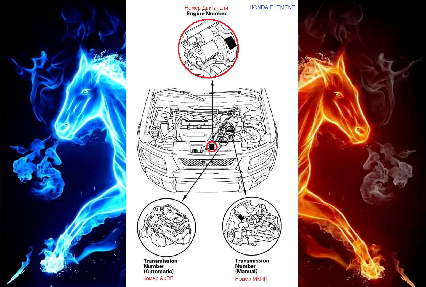 Номер Двигателя, АКПП, МКПП автомобиля Хонда Элемент — Сообщество «Honda  Element Club» на DRIVE2