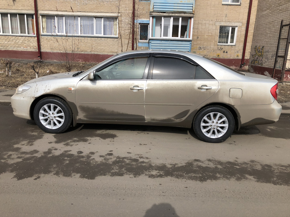 Camry стрекоза фото