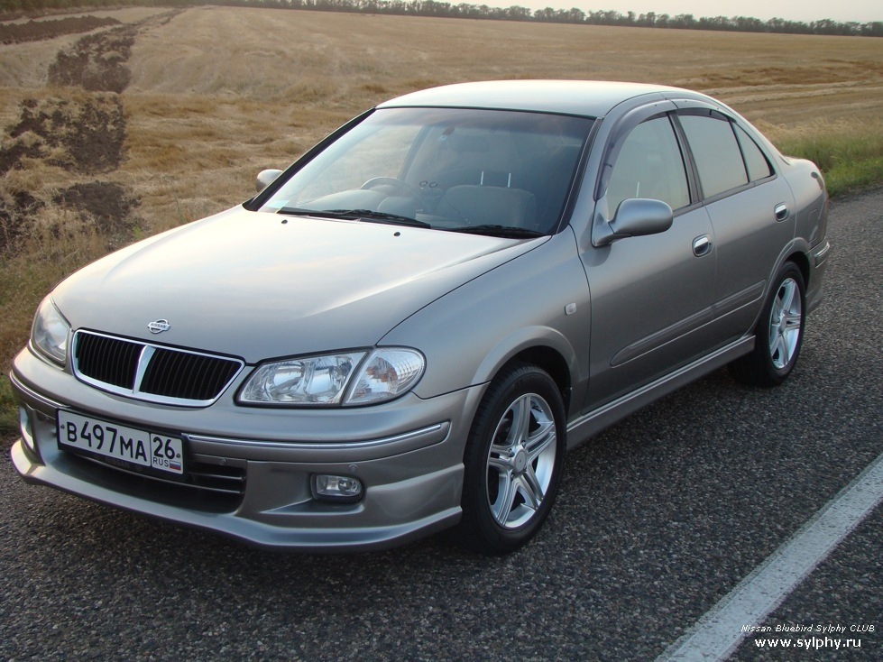 Nissan bluebird sylphy фото