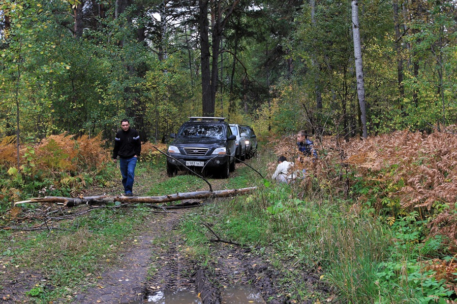 Фото в бортжурнале KIA Sorento (1G)