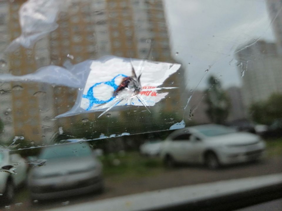 Полоса неудач — камень в стекло и лампа стоп-сигнале — Volkswagen ...