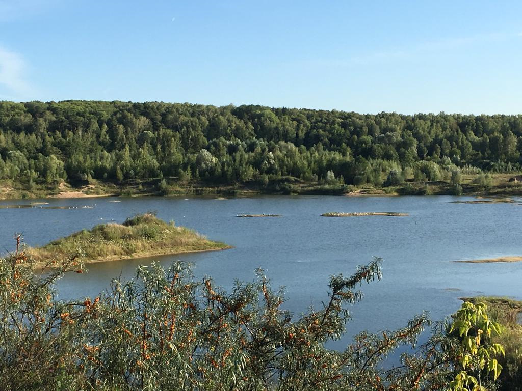 Ланьшино серпуховский район фото