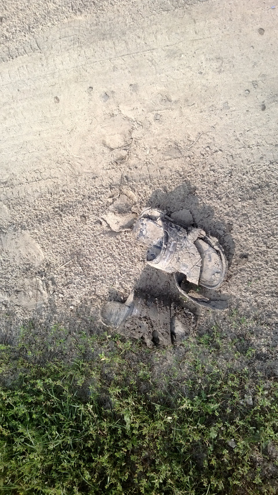 Порвал шину просто в дрыск…(((( — Lada 21102, 1,5 л, 2004 года | шины ...