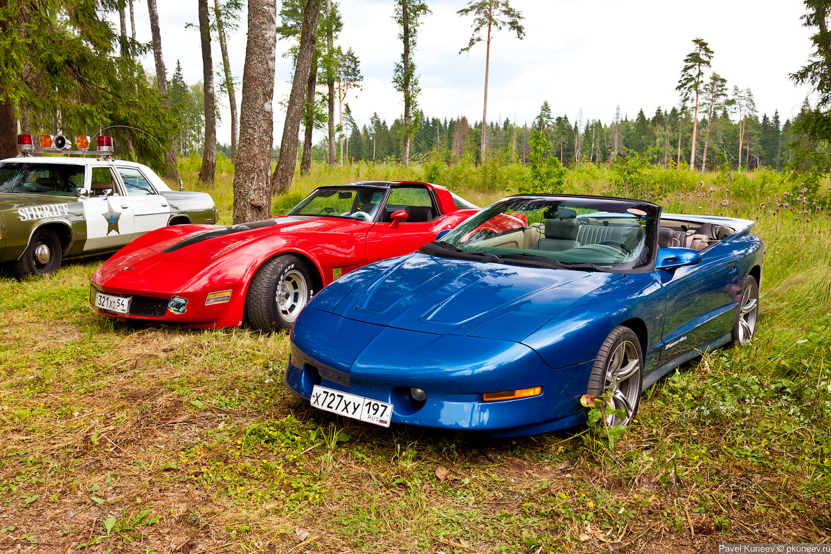 Авто в боре. Pontiac Corvette.