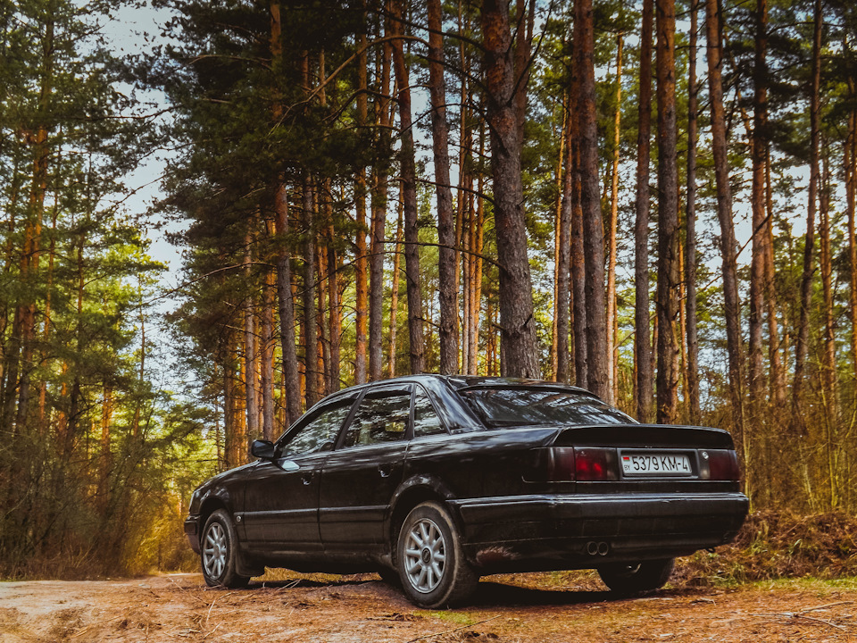 Ауди 100 ц 4. Audi 100. Audi 100 c4 Люкс. Audi 100 Shadow line. Ауди 100 в лесу.