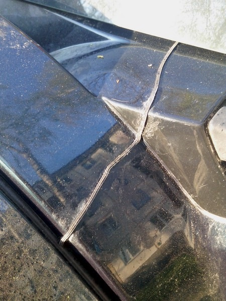 трещина двери scenic rx4 — Renault Scenic RX4