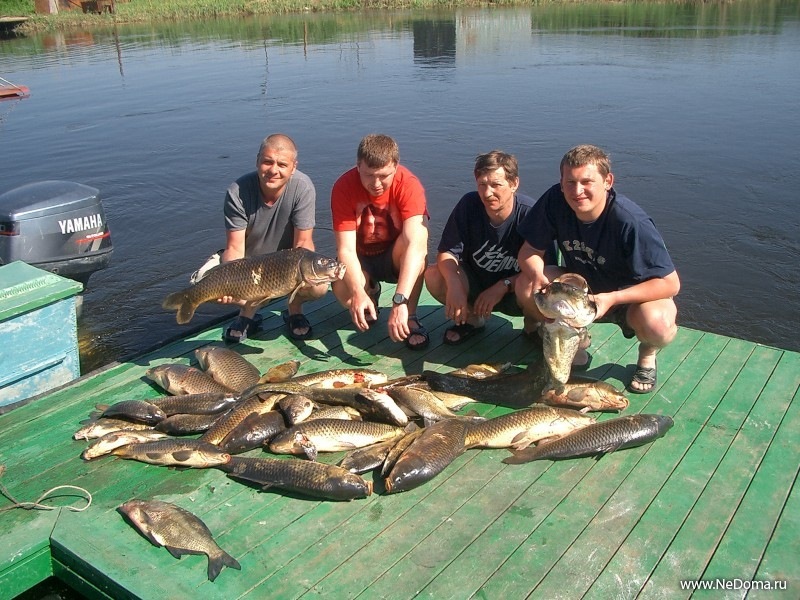 Рыба на медвежьих озерах. Рыбалка в Астрахани. Астраханская рыбалка. Ихтиофауна дельты Волги. Рыбалка в Астрахани рыба.