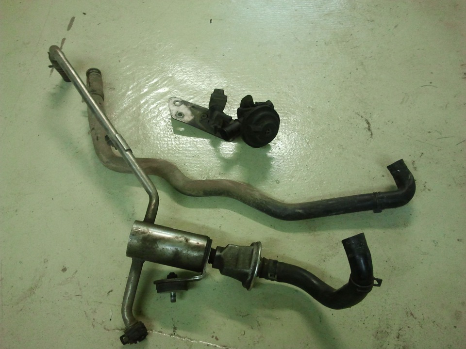 Система продувки катализатора. Датчик продувки катализатора x20xev артикул. 0  бензин газ. Пластина продувки катализатора prado. Патрубок продувки катализатора фольксваген бора 2003г.