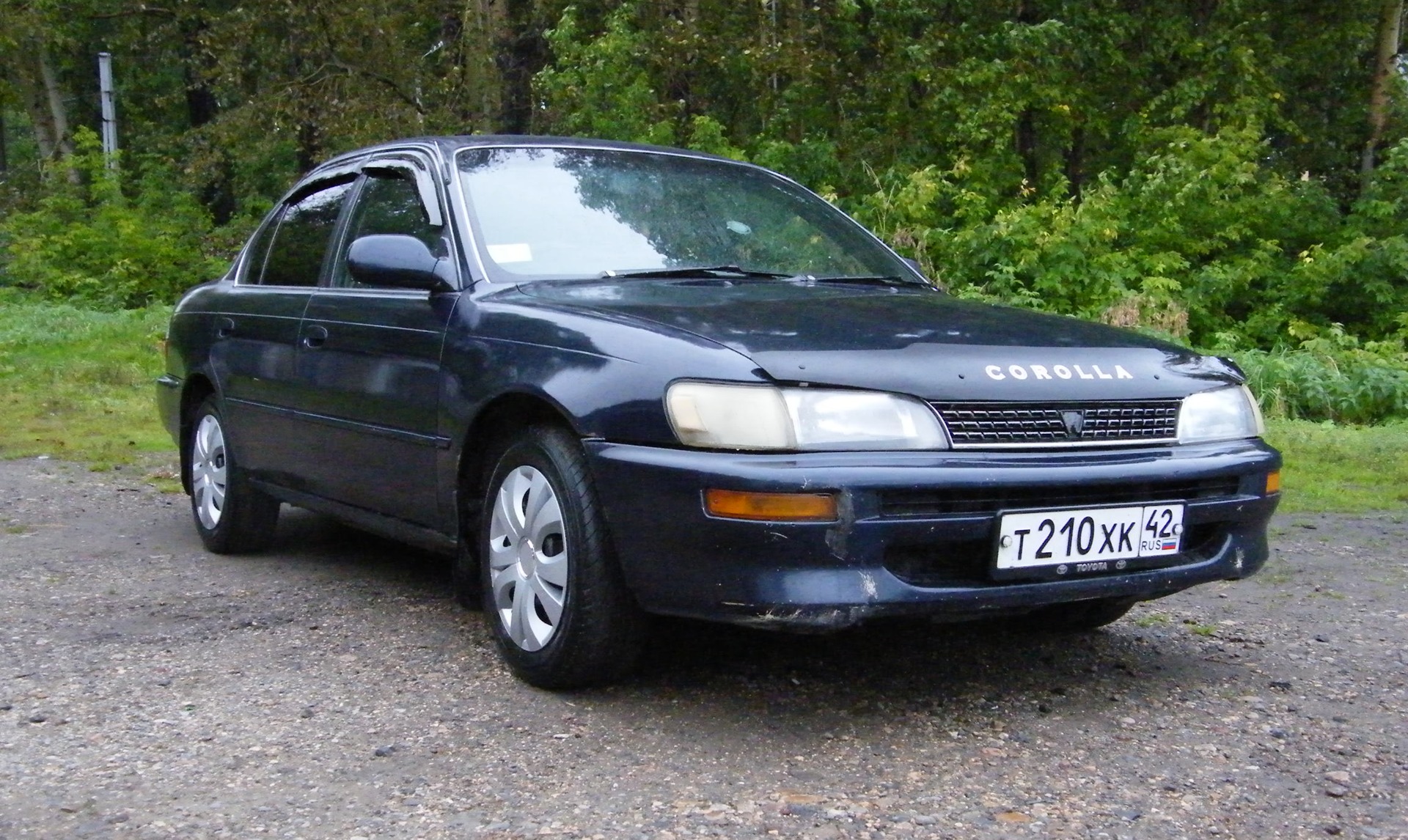     Toyota Corolla 15 1992