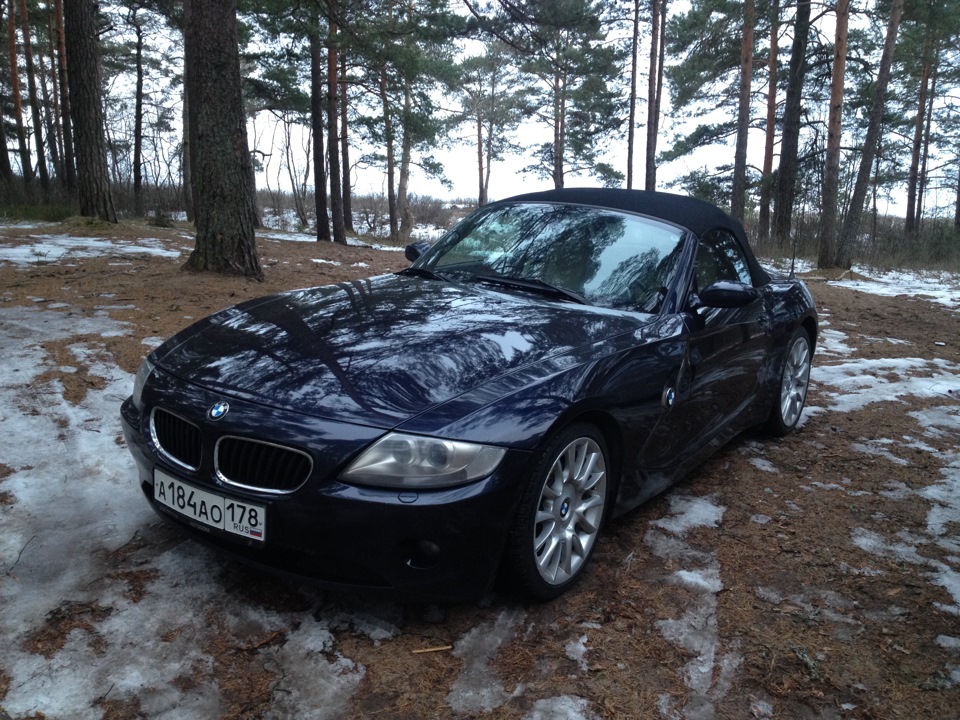 Рисунки природы на капоте… — BMW Z4 (E85), 3 л, 2005 года | покатушки ...