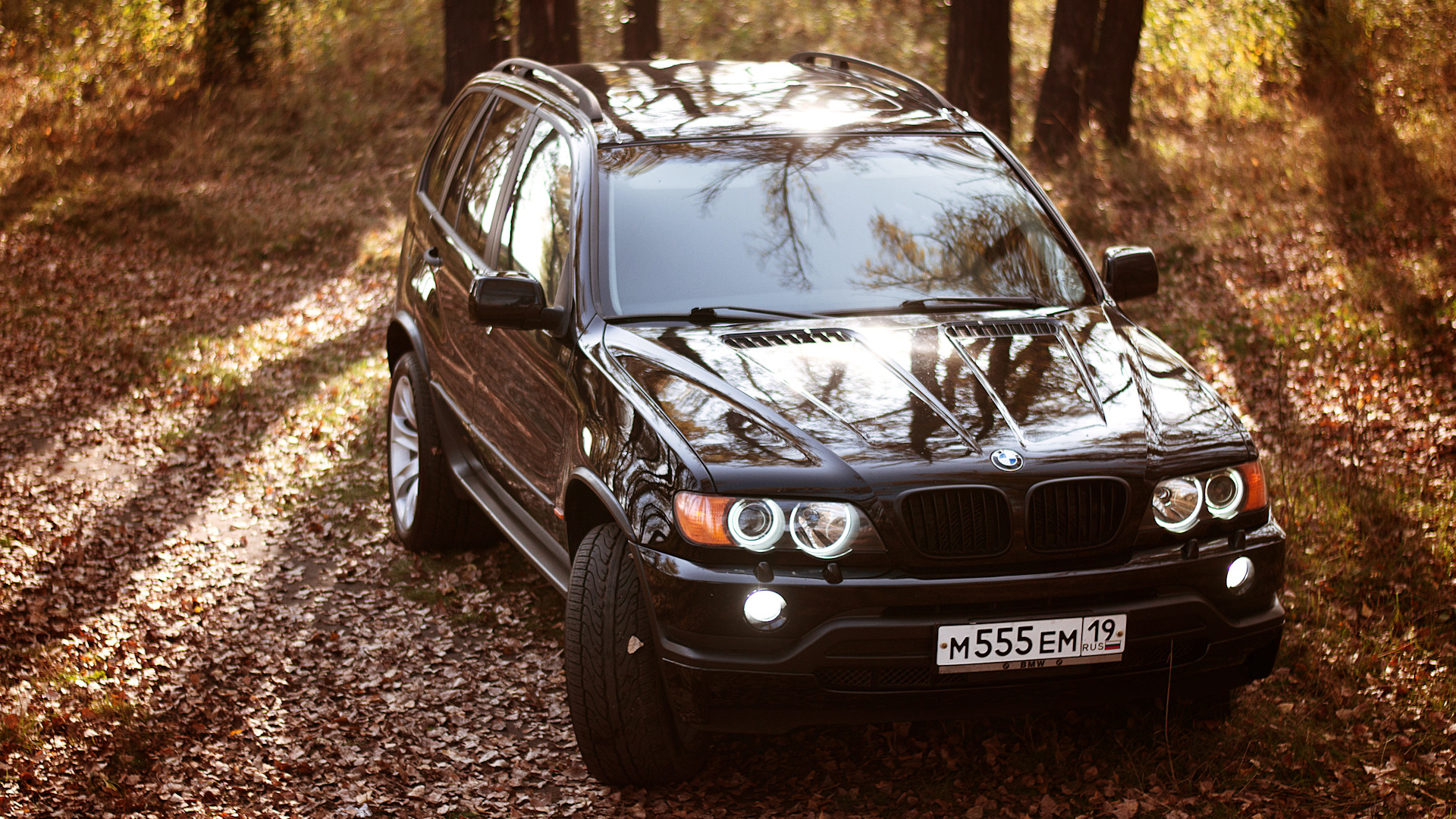 BMW X5 (E53) 3.0 бензиновый 2003 | e53™ на DRIVE2