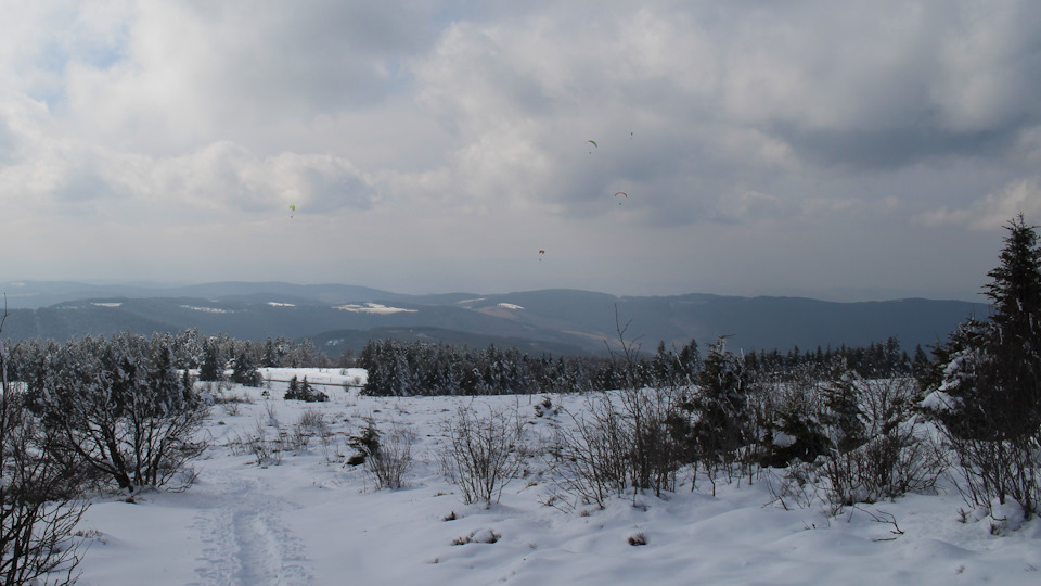 Народная примета: если в небе видно парапланеристов, значит погода збс :) — Audi A4 (B9)