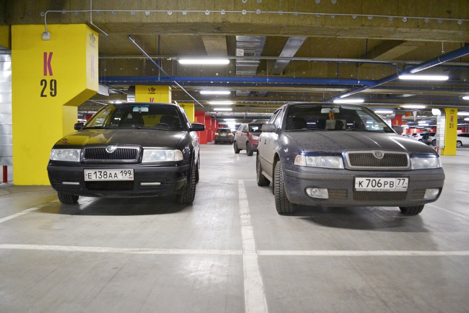 ������� ���� ���