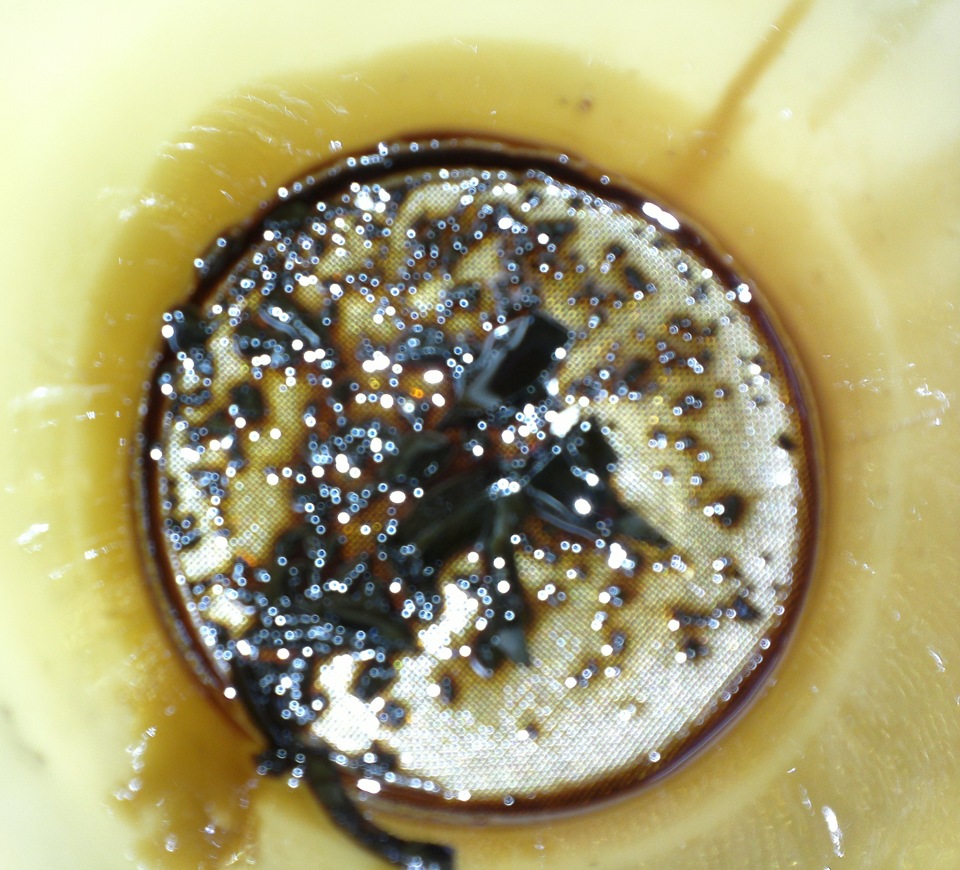 Чистим поддон, лямбда-зонд, опора, трипойд. — Audi A4 Avant (B6), 1,8 л ...