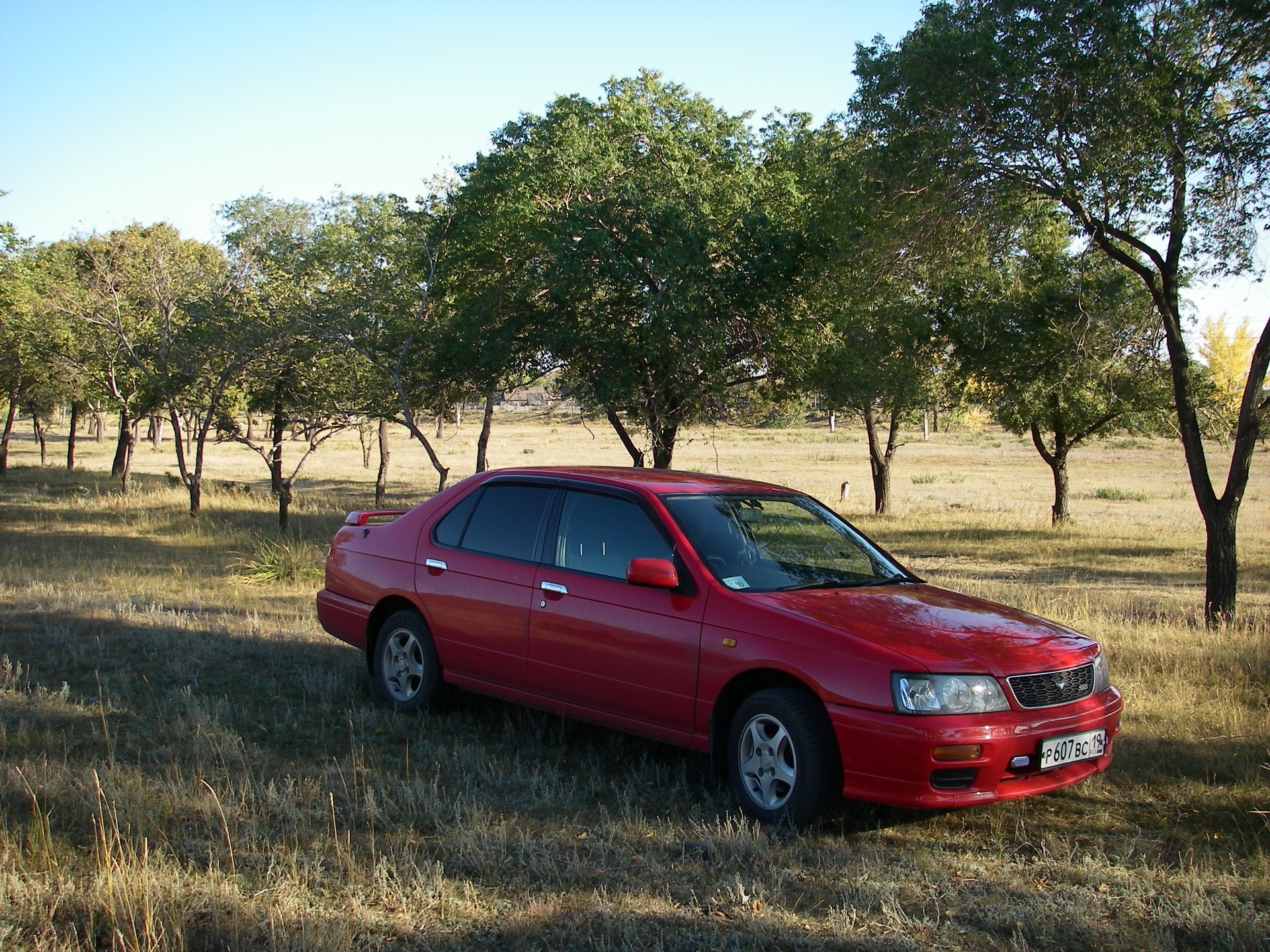 Nissan bluebird фото