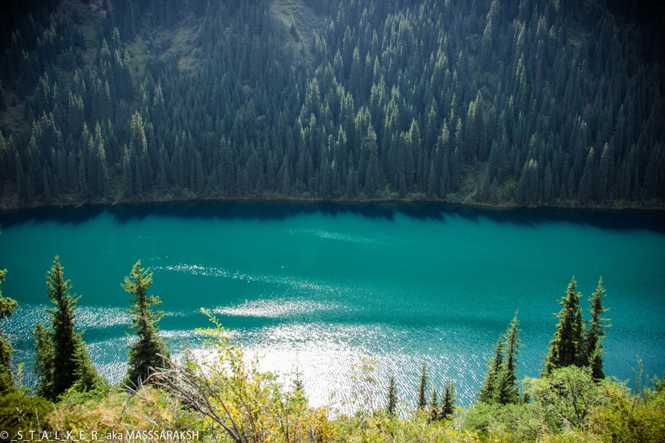 Озеро Кольсай фото девушка