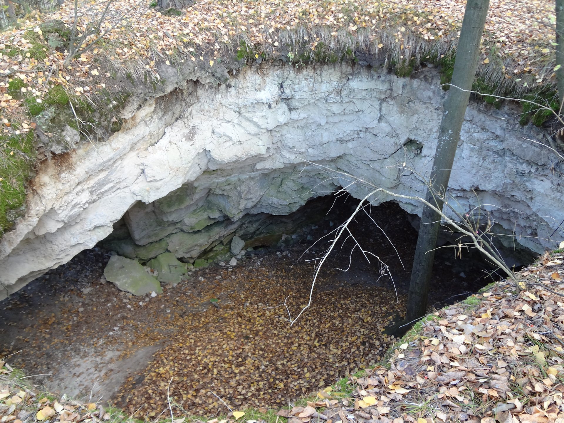 Карта ичалковского бора с пещерами