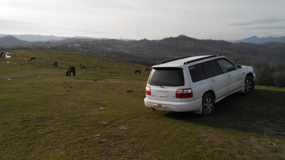 Расход топлива — Subaru Forester (SF), 2 л, 2001 года | заправка | DRIVE2