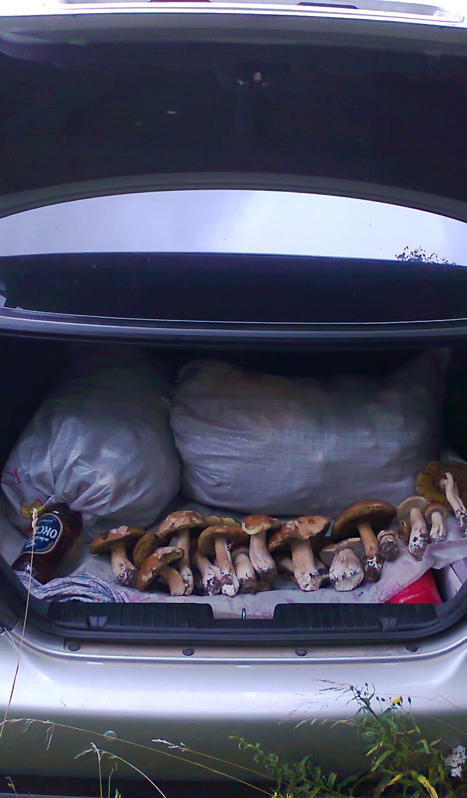 Нужен коврик в багажник! — Chevrolet Epica, 2 л, 2006 года | аксессуары ...