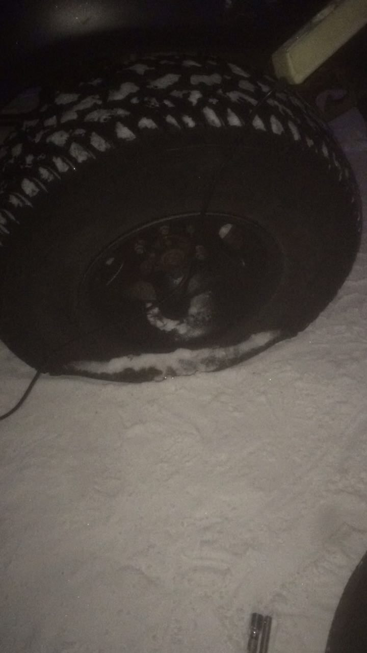 Фото в бортжурнале Mitsubishi Pajero (2G)