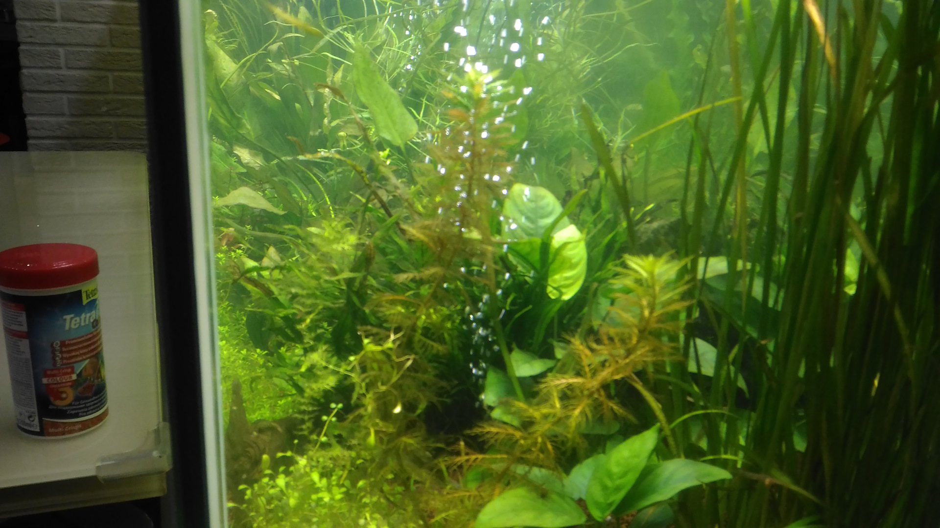 видео обзор аквариума