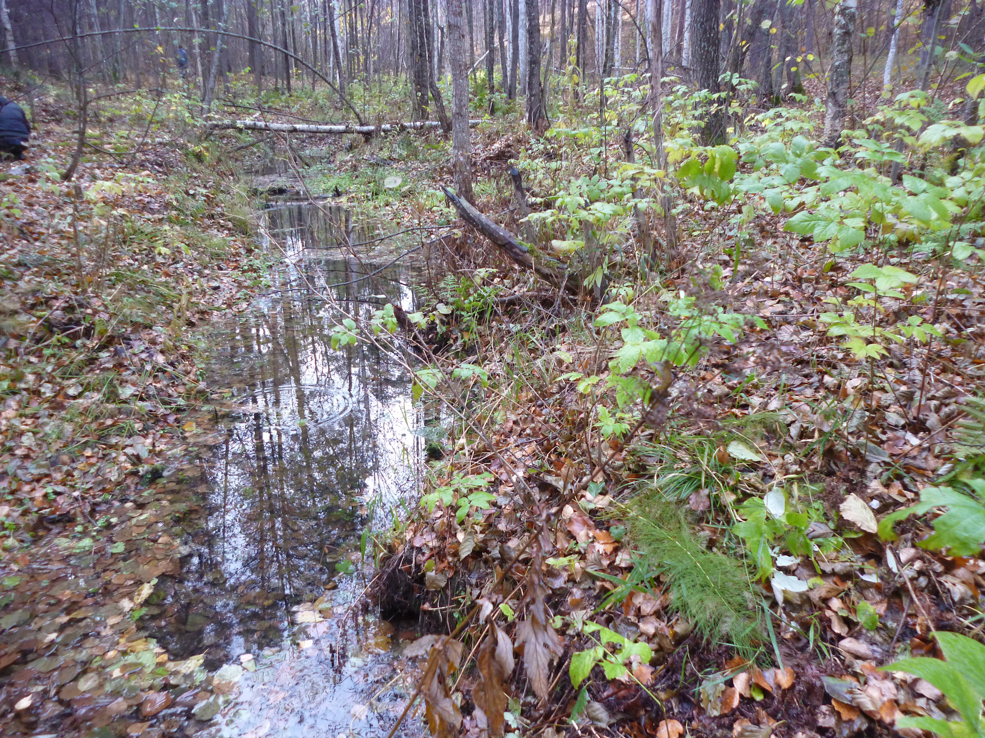 Исток реки, часовня у родника