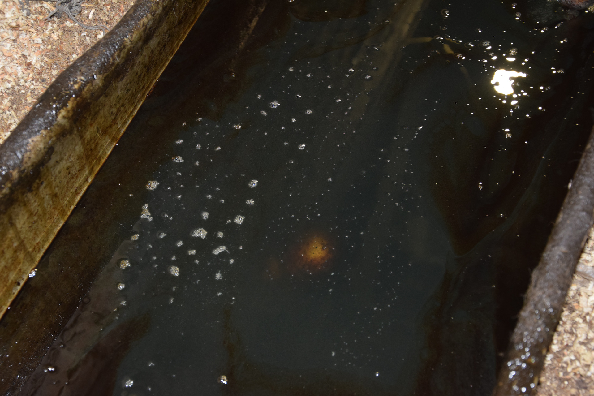 Замена масла в мостах, коробке, раздатке. — УАЗ 315195 Hunter, 2,7 л ...