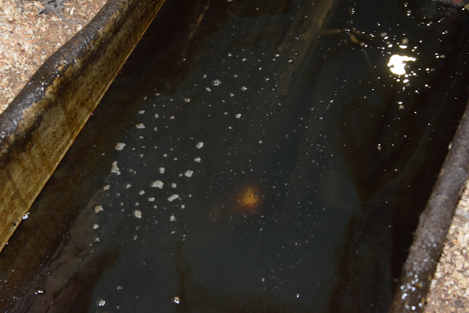 Замена масла в мостах, коробке, раздатке. — УАЗ 315195 Hunter, 2,7 л ...