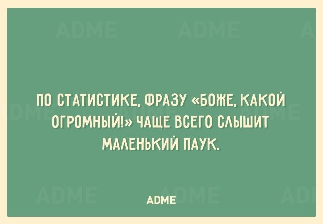 На маленьком слыша. Цитаты о статистике. Боже какой огромный чаще всего слышит маленький паук. По статистике фразу Боже какой огромный чаще всего слышит
