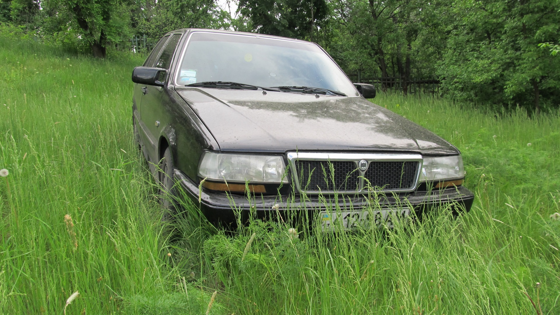 Lancia Thema (1G) 2.0 бензиновый 1992 | Кляча на DRIVE2